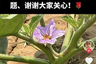 登顶队史得分王！原帅赛后更博：感恩山西！我们继续